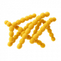 Lipids