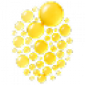 Lipids