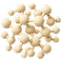 Proteins